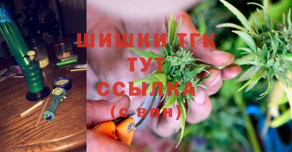 МДПВ Абаза