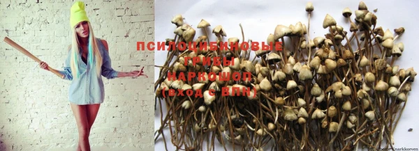 МДПВ Абаза