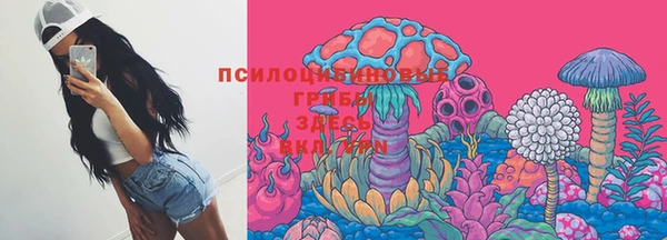 МДПВ Абдулино