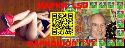 стафф Гатчина