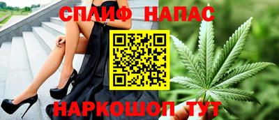 стафф Гатчина