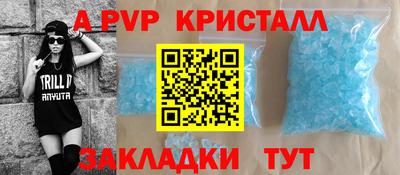 стафф Гатчина