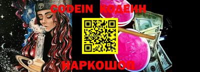 стафф Гатчина