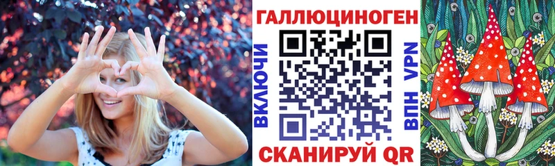 Псилоцибиновые грибы Cubensis  Отрадный 