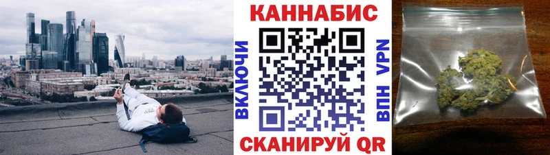 Конопля сатива  Отрадный 